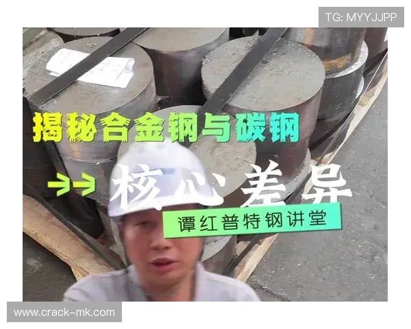 奥德加德技术细节深度解析:揭秘其背后的核心创新与应用前景