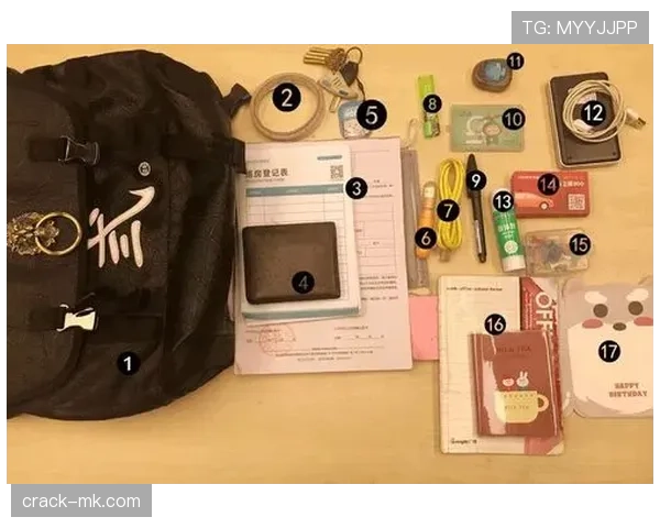 朋友刚发来高磊逛街照——他拎的包比我俩月工资还贵，我现在心态崩了